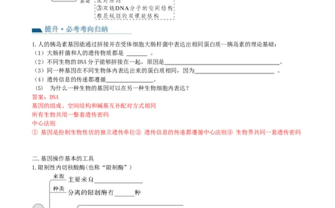 第43讲基因工程（讲义）（教师版）_新高考复习资料_2024年新高考复习资料_一轮复习资料_完2024年高考生物一轮复习讲练测(课件+讲义+练习)（新高考）_讲义+练习