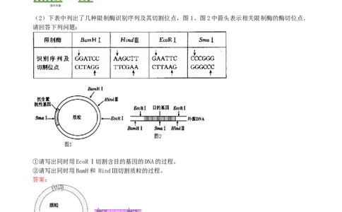 第43讲基因工程（讲义）（教师版）_新高考复习资料_2024年新高考复习资料_一轮复习资料_完2024年高考生物一轮复习讲练测(课件+讲义+练习)（新高考）_讲义+练习