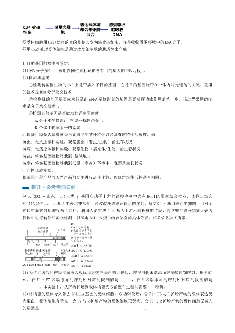 第43讲基因工程（讲义）（教师版）_新高考复习资料_2024年新高考复习资料_一轮复习资料_完2024年高考生物一轮复习讲练测(课件+讲义+练习)（新高考）_讲义+练习