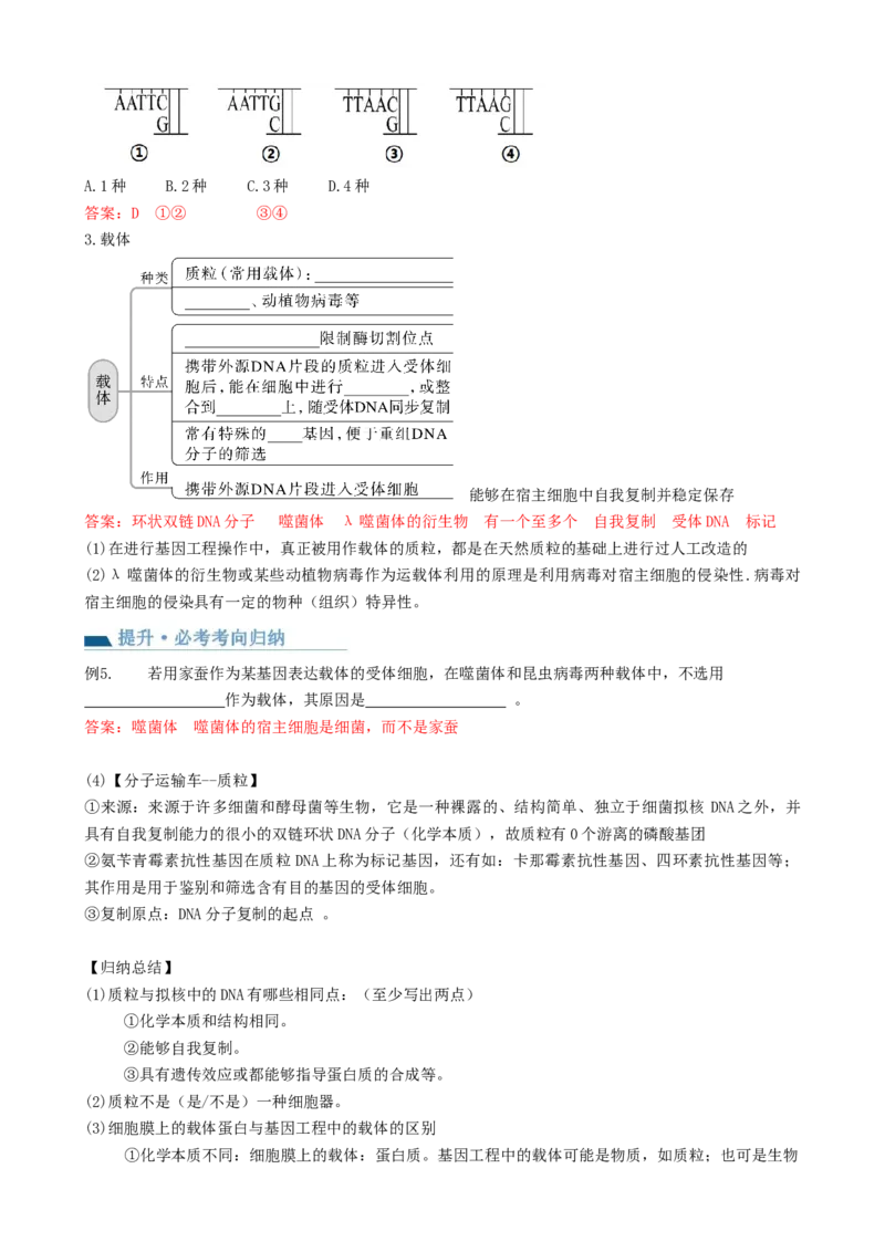 第43讲基因工程（讲义）（教师版）_新高考复习资料_2024年新高考复习资料_一轮复习资料_完2024年高考生物一轮复习讲练测(课件+讲义+练习)（新高考）_讲义+练习