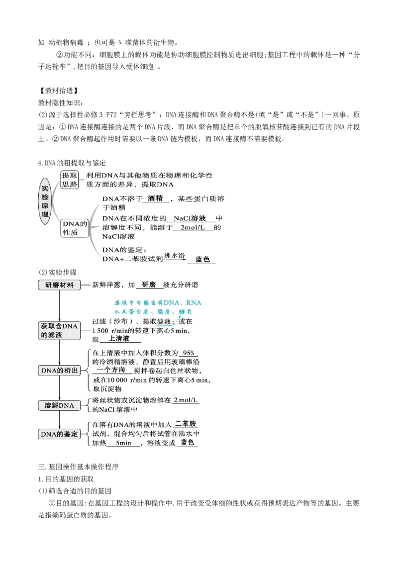 第43讲基因工程（讲义）（教师版）_新高考复习资料_2024年新高考复习资料_一轮复习资料_完2024年高考生物一轮复习讲练测(课件+讲义+练习)（新高考）_讲义+练习