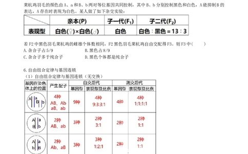 第17.2讲基因的自由组合定律相关题型（讲义）（学生版）_新高考复习资料_2024年新高考复习资料_一轮复习资料_完2024年高考生物一轮复习讲练测(课件+讲义+练习)（新高考）_讲义+练习