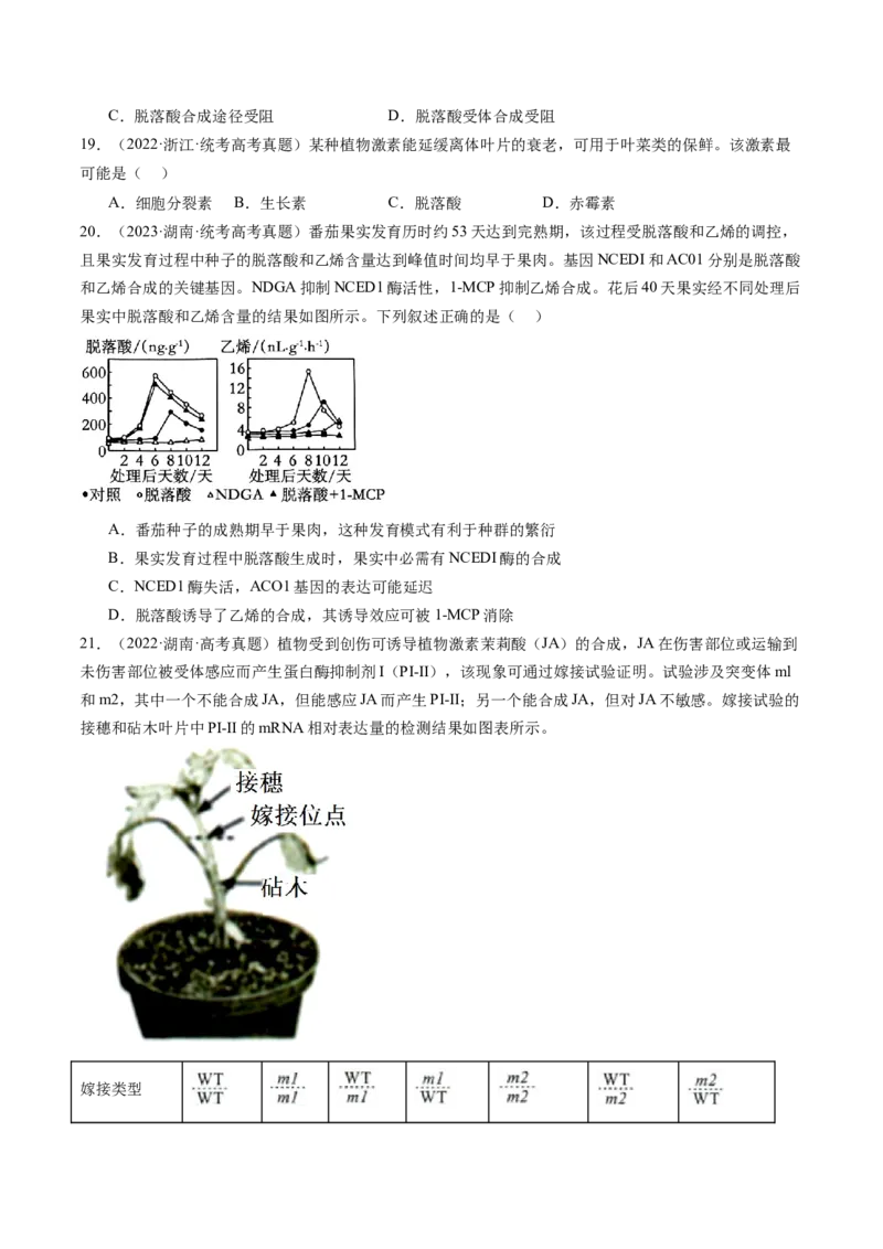 第32.2讲其他植物激素、植物生长调节剂的应用、环境因素参与调节植物的生命活动（练习）（原卷版）_新高考复习资料_2024年新高考复习资料_一轮复习资料_讲义+练习