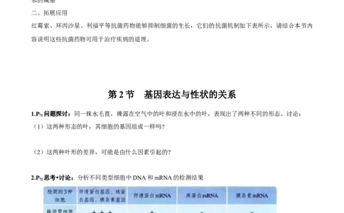 第4章基因的表达-查漏补缺2023年高考生物一轮复习教材必背细节与旁栏思考梳理汇总（新教材）（学生版）_新高考复习资料_2023年新高考复习资料_一轮复习