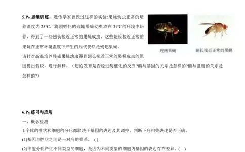第4章基因的表达-查漏补缺2023年高考生物一轮复习教材必背细节与旁栏思考梳理汇总（新教材）（学生版）_新高考复习资料_2023年新高考复习资料_一轮复习