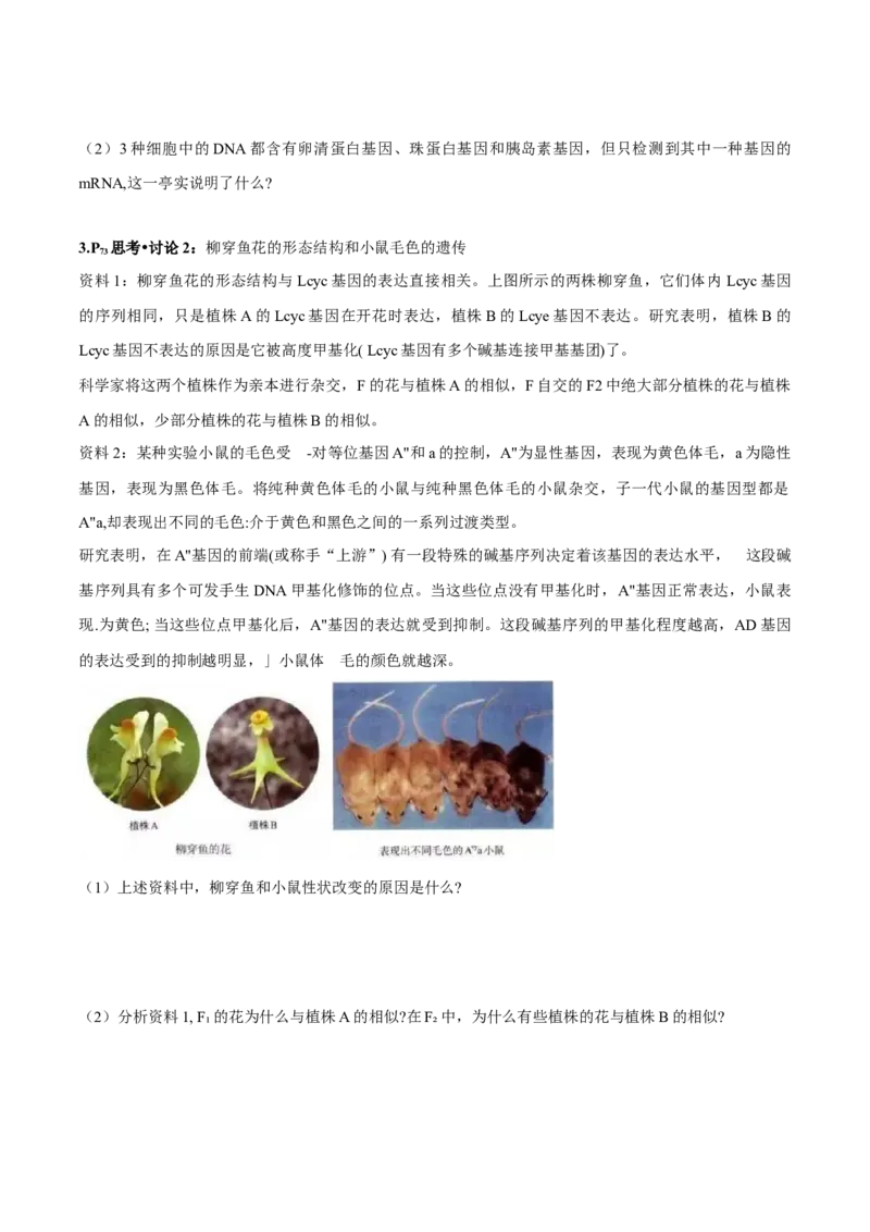 第4章基因的表达-查漏补缺2023年高考生物一轮复习教材必背细节与旁栏思考梳理汇总（新教材）（学生版）_新高考复习资料_2023年新高考复习资料_一轮复习