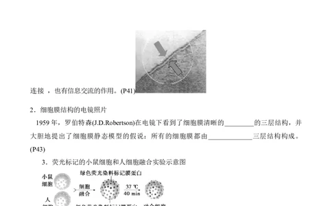 第3章细胞的基本结构（填空版）_2025年新高考资料_专项复习_晨读晚默备战2025年高考生物必背知识清单_第3章细胞的基本结构-晨读晚默备战2025年高考生物必背知识清单