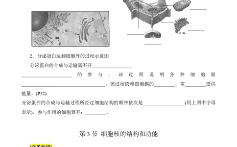 第3章细胞的基本结构（填空版）_2025年新高考资料_专项复习_晨读晚默备战2025年高考生物必背知识清单_第3章细胞的基本结构-晨读晚默备战2025年高考生物必背知识清单
