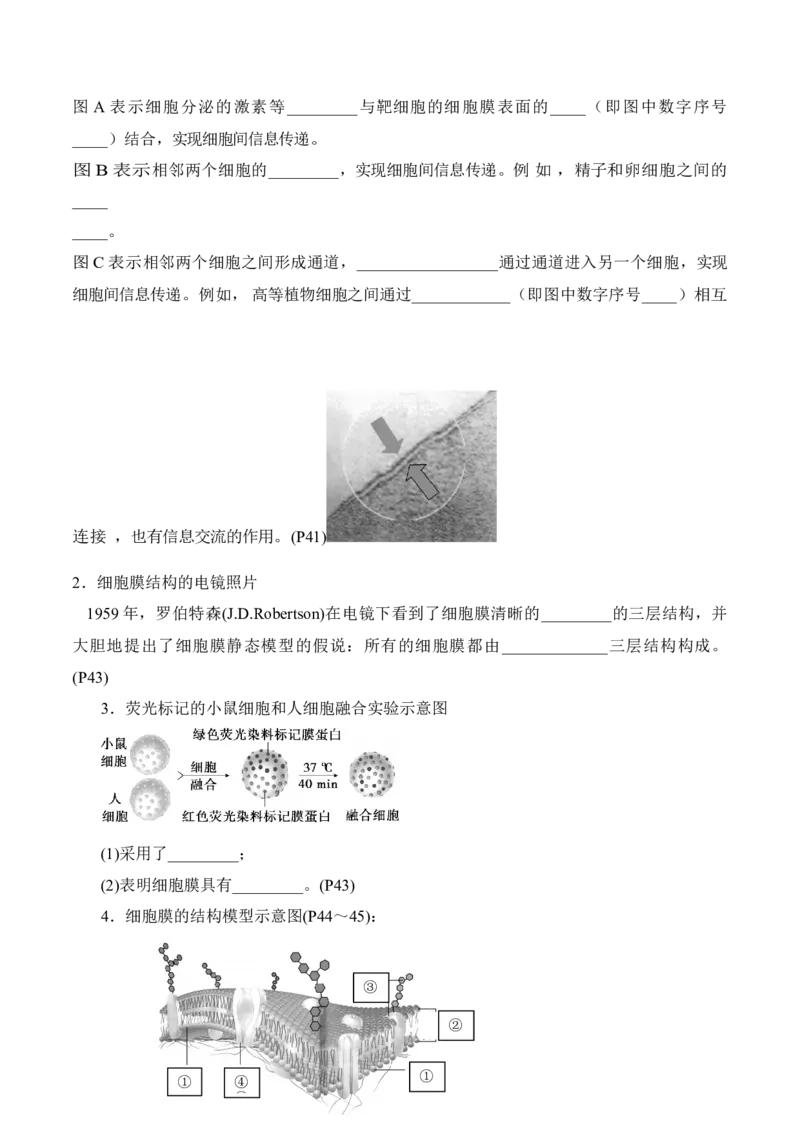 第3章细胞的基本结构（填空版）_2025年新高考资料_专项复习_晨读晚默备战2025年高考生物必背知识清单_第3章细胞的基本结构-晨读晚默备战2025年高考生物必背知识清单