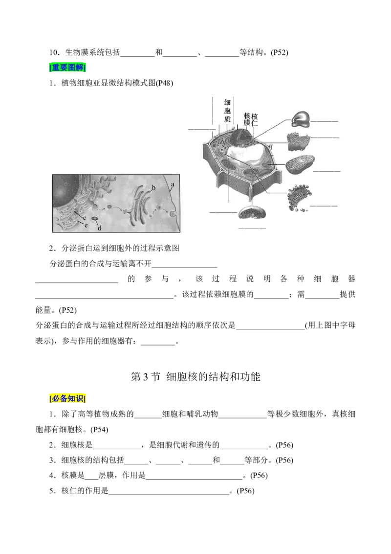第3章细胞的基本结构（填空版）_2025年新高考资料_专项复习_晨读晚默备战2025年高考生物必背知识清单_第3章细胞的基本结构-晨读晚默备战2025年高考生物必背知识清单