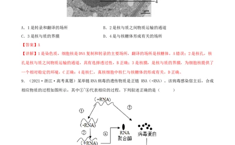 第18练基因的表达（解析版）_新高考复习资料_2023年新高考复习资料_一轮复习_2023年高考生物一轮复习小题多维练（新高考专用）