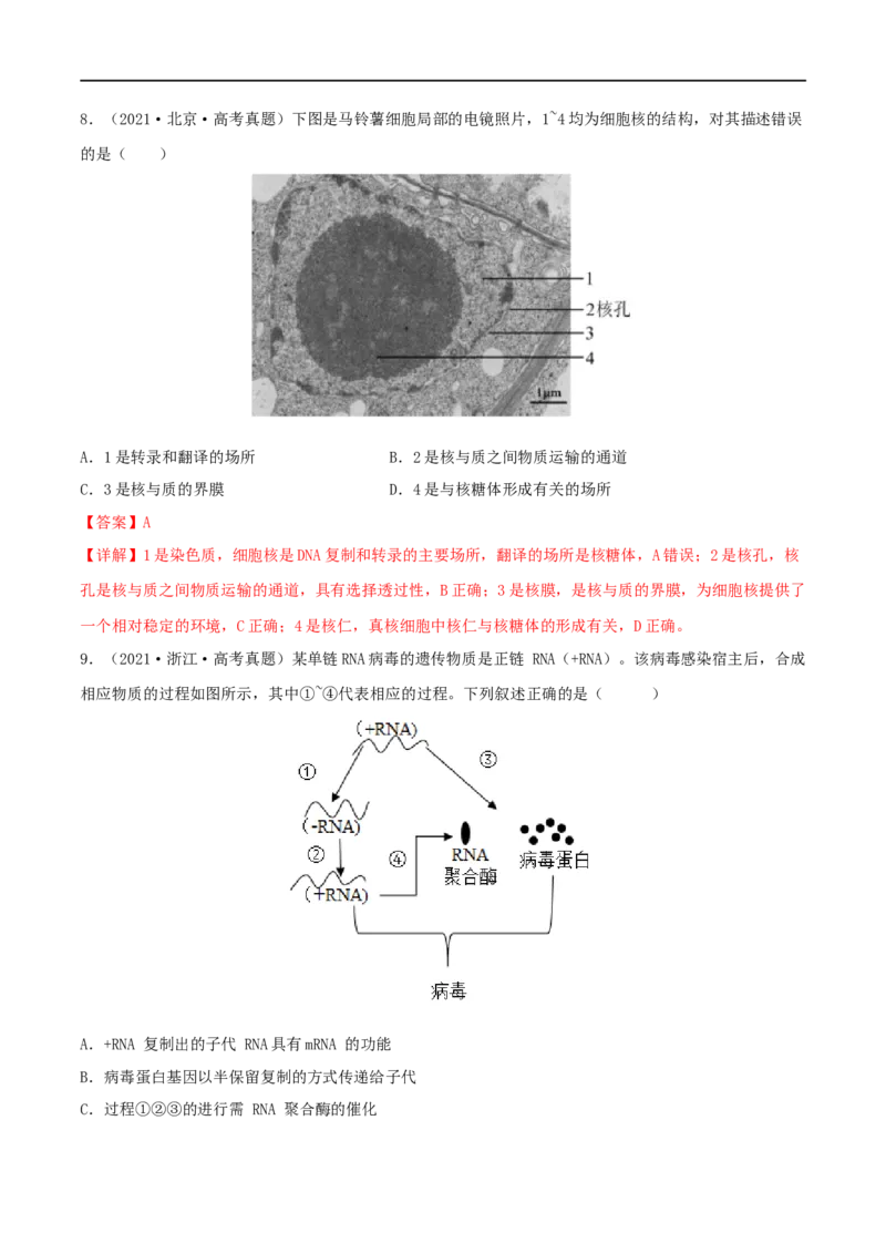 第18练基因的表达（解析版）_新高考复习资料_2023年新高考复习资料_一轮复习_2023年高考生物一轮复习小题多维练（新高考专用）