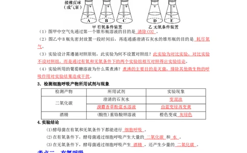 第15讲细胞呼吸的原理和运用-精准备考备战2023年高考生物一轮复习精品讲义（生物学必修1）（解析版）_通用版（老高考）复习资料_2023年复习资料_一轮复习
