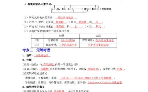 第15讲细胞呼吸的原理和运用-精准备考备战2023年高考生物一轮复习精品讲义（生物学必修1）（解析版）_通用版（老高考）复习资料_2023年复习资料_一轮复习