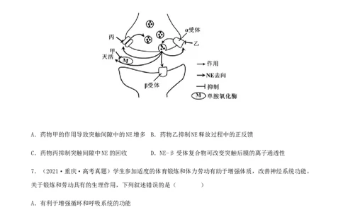 第23练神经调节（原卷版）_新高考复习资料_2023年新高考复习资料_一轮复习_2023年高考生物一轮复习小题多维练（新高考专用）