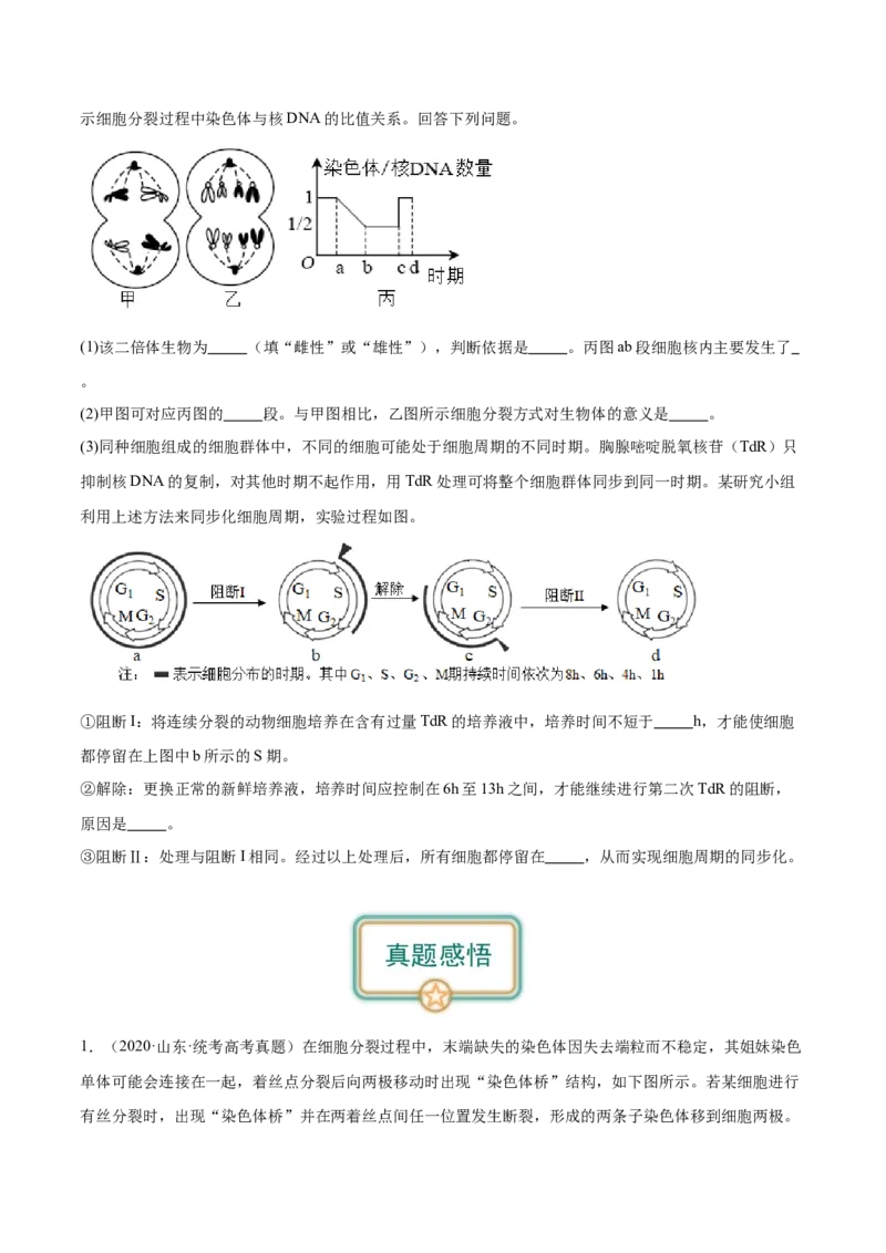 第1讲细胞增殖（原卷版）_通用版（老高考）复习资料_2024年复习资料_完备战2024年高考生物一轮复习考点帮（全国通用）_专题五细胞的生命历程