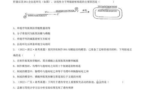 第17练DNA的结构、复制及基因的本质（原卷版）_新高考复习资料_2023年新高考复习资料_一轮复习_2023年高考生物一轮复习小题多维练（新高考专用）