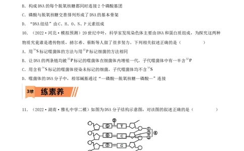 第17练DNA的结构、复制及基因的本质（原卷版）_新高考复习资料_2023年新高考复习资料_一轮复习_2023年高考生物一轮复习小题多维练（新高考专用）