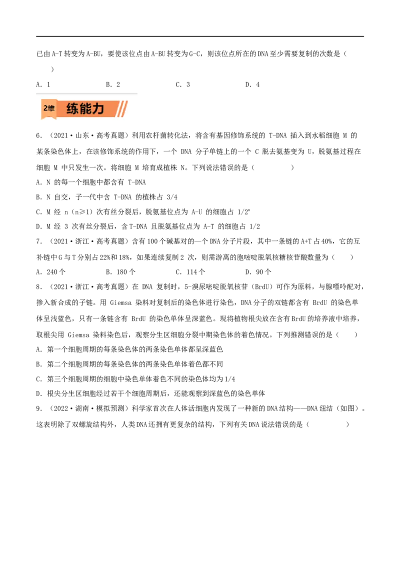 第17练DNA的结构、复制及基因的本质（原卷版）_新高考复习资料_2023年新高考复习资料_一轮复习_2023年高考生物一轮复习小题多维练（新高考专用）