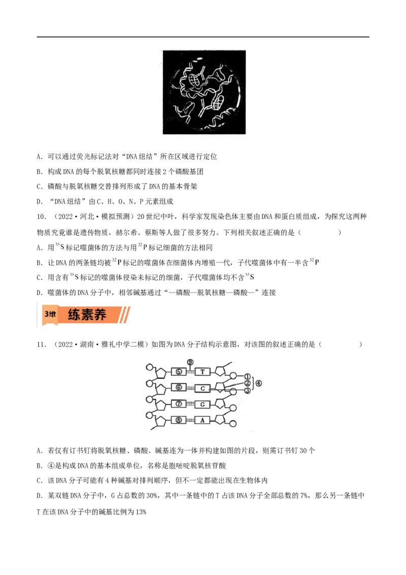 第17练DNA的结构、复制及基因的本质（原卷版）_新高考复习资料_2023年新高考复习资料_一轮复习_2023年高考生物一轮复习小题多维练（新高考专用）