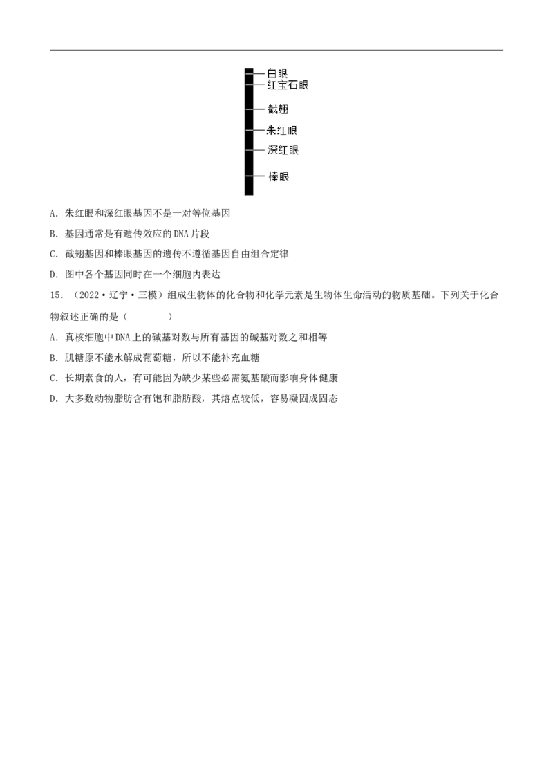 第17练DNA的结构、复制及基因的本质（原卷版）_新高考复习资料_2023年新高考复习资料_一轮复习_2023年高考生物一轮复习小题多维练（新高考专用）