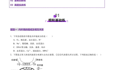 第24讲内环境与稳态（练习）（原卷版）_2025年新高考资料_一轮复习_2025年高考生物一轮复习讲练测（新教材新高考）