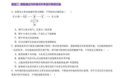 第24讲内环境与稳态（练习）（原卷版）_2025年新高考资料_一轮复习_2025年高考生物一轮复习讲练测（新教材新高考）