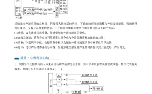 第31讲动物生命活动调节的综合分析（讲义）（教师版）_新高考复习资料_2024年新高考复习资料_一轮复习资料_完2024年高考生物一轮复习讲练测(课件+讲义+练习)（新高考）_讲义+练习