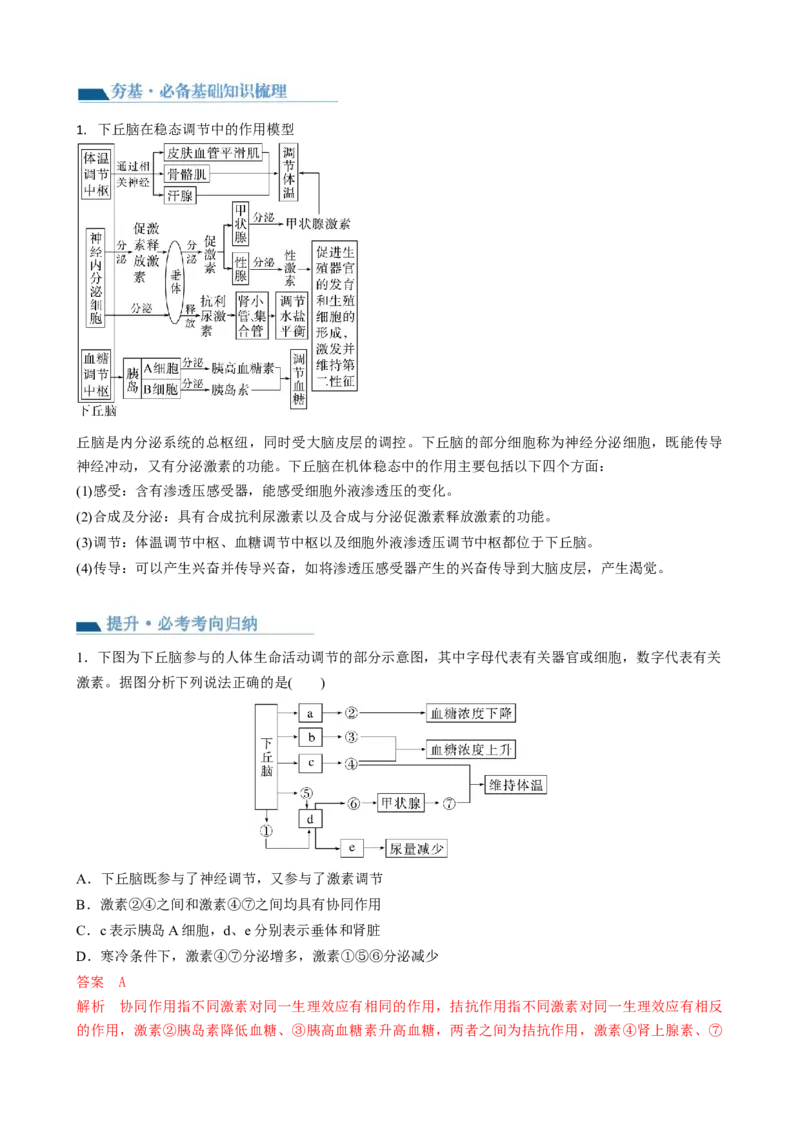 第31讲动物生命活动调节的综合分析（讲义）（教师版）_新高考复习资料_2024年新高考复习资料_一轮复习资料_完2024年高考生物一轮复习讲练测(课件+讲义+练习)（新高考）_讲义+练习