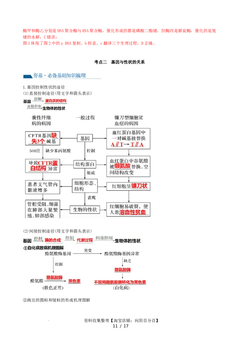 第22讲基因的表达、基因与性状的关系（讲义）（教师版）_新高考复习资料_2024年新高考复习资料_一轮复习资料_完2024年高考生物一轮复习讲练测(课件+讲义+练习)（新高考）_讲义+练习
