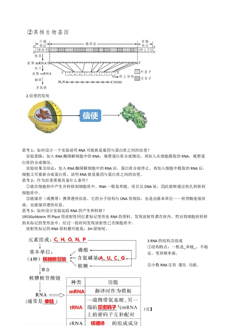 第22讲基因的表达、基因与性状的关系（讲义）（教师版）_新高考复习资料_2024年新高考复习资料_一轮复习资料_完2024年高考生物一轮复习讲练测(课件+讲义+练习)（新高考）_讲义+练习