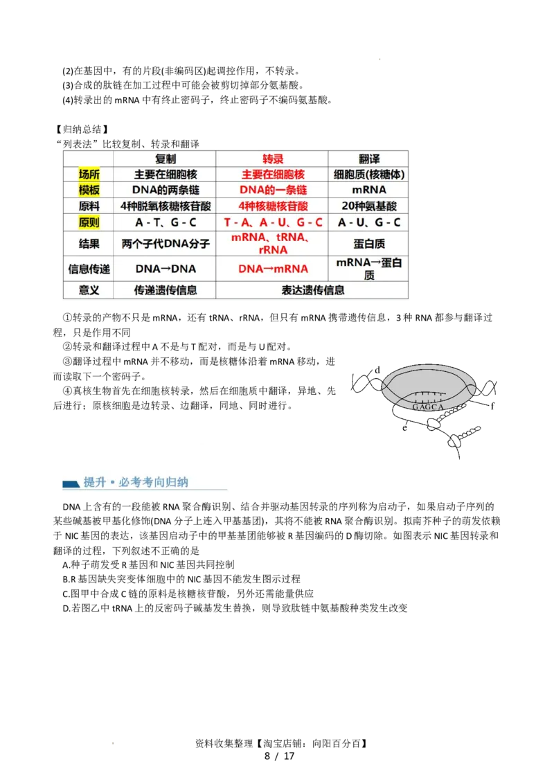 第22讲基因的表达、基因与性状的关系（讲义）（教师版）_新高考复习资料_2024年新高考复习资料_一轮复习资料_完2024年高考生物一轮复习讲练测(课件+讲义+练习)（新高考）_讲义+练习
