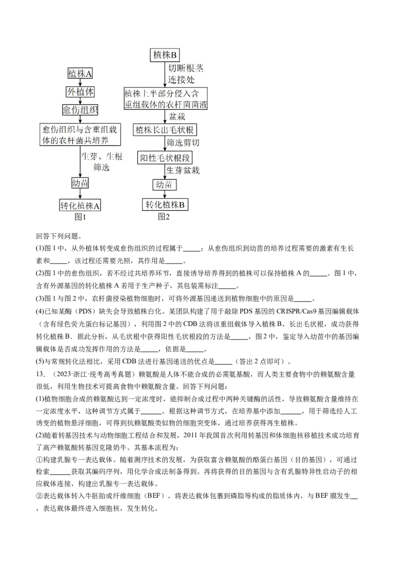 第43讲基因工程（练习）（原卷版）_新高考复习资料_2024年新高考复习资料_一轮复习资料_完2024年高考生物一轮复习讲练测(课件+讲义+练习)（新高考）_讲义+练习