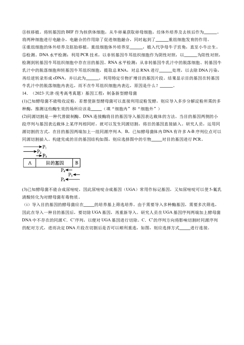 第43讲基因工程（练习）（原卷版）_新高考复习资料_2024年新高考复习资料_一轮复习资料_完2024年高考生物一轮复习讲练测(课件+讲义+练习)（新高考）_讲义+练习
