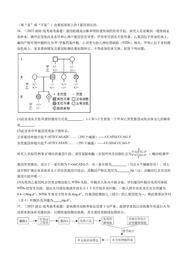 第43讲基因工程（练习）（原卷版）_新高考复习资料_2024年新高考复习资料_一轮复习资料_完2024年高考生物一轮复习讲练测(课件+讲义+练习)（新高考）_讲义+练习