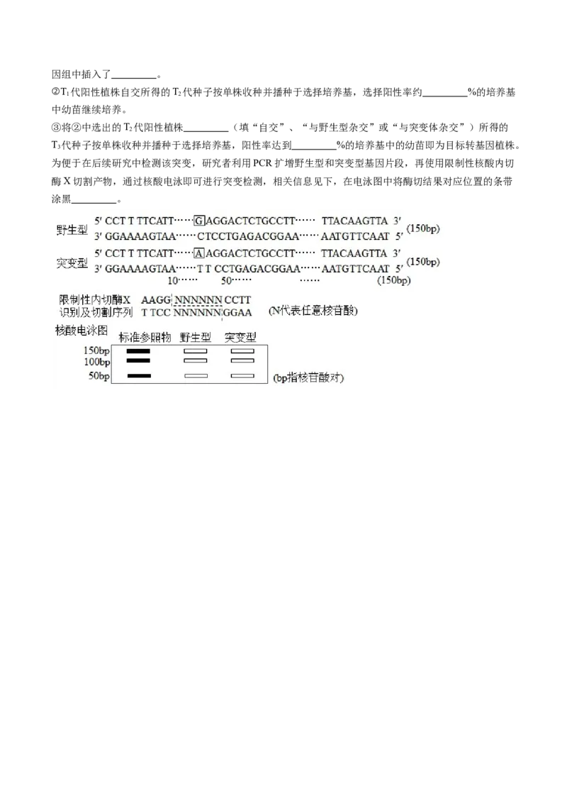 第43讲基因工程（练习）（原卷版）_新高考复习资料_2024年新高考复习资料_一轮复习资料_完2024年高考生物一轮复习讲练测(课件+讲义+练习)（新高考）_讲义+练习