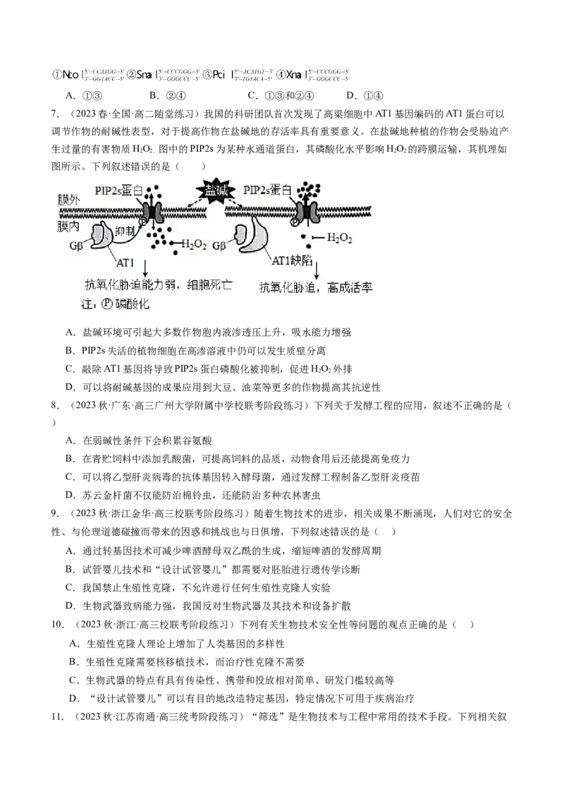 第43讲基因工程（练习）（原卷版）_新高考复习资料_2024年新高考复习资料_一轮复习资料_完2024年高考生物一轮复习讲练测(课件+讲义+练习)（新高考）_讲义+练习