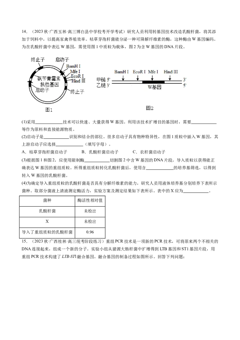 第43讲基因工程（练习）（原卷版）_新高考复习资料_2024年新高考复习资料_一轮复习资料_完2024年高考生物一轮复习讲练测(课件+讲义+练习)（新高考）_讲义+练习
