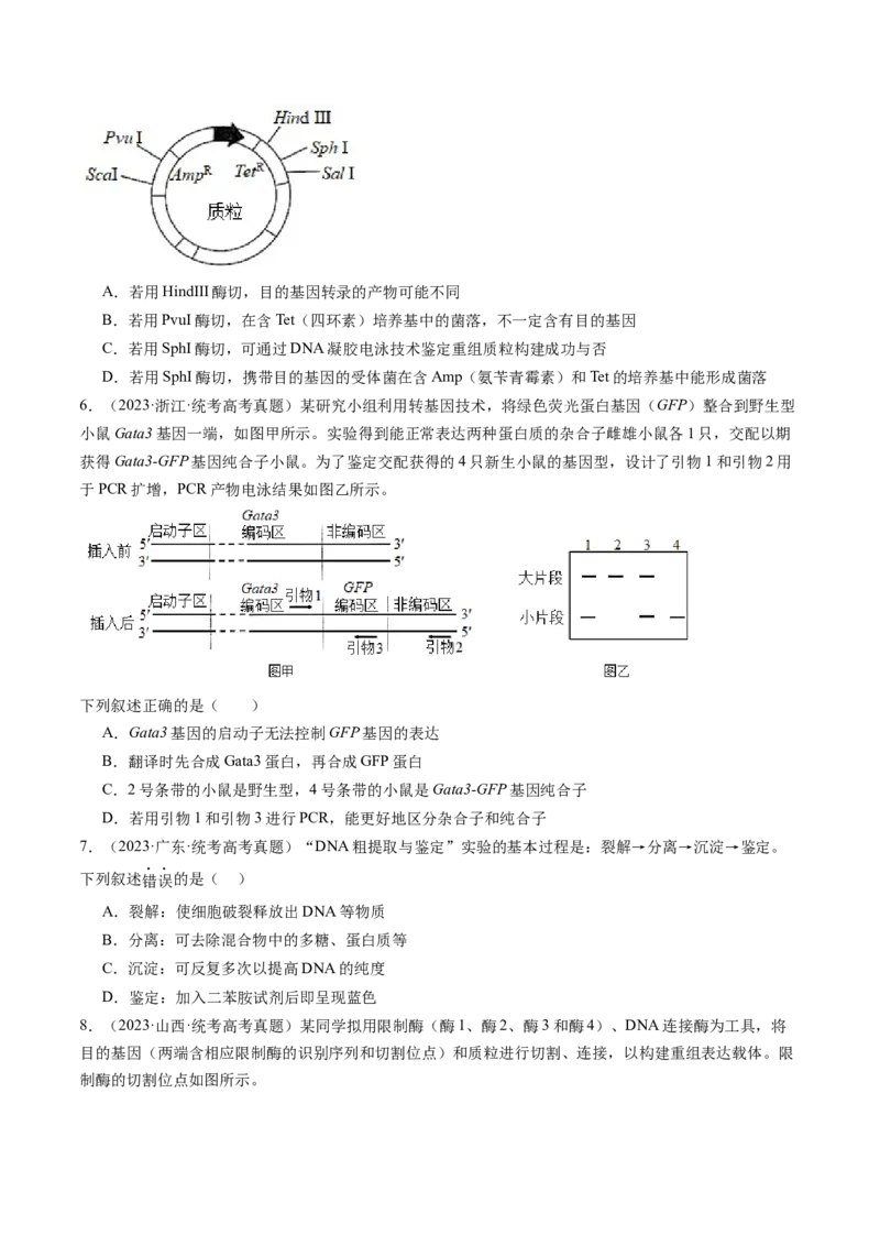 第43讲基因工程（练习）（原卷版）_新高考复习资料_2024年新高考复习资料_一轮复习资料_完2024年高考生物一轮复习讲练测(课件+讲义+练习)（新高考）_讲义+练习