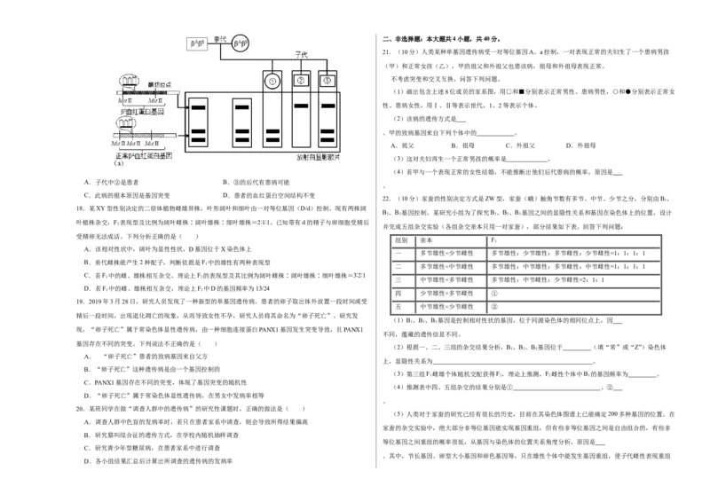 第六单元伴性遗传及其人类遗传病剖析（A卷新题基础练）-2023年高考生物一轮复习单元滚动双测卷（新高考专用）（考试版）_新高考复习资料_2023年新高考复习资料_一轮复习