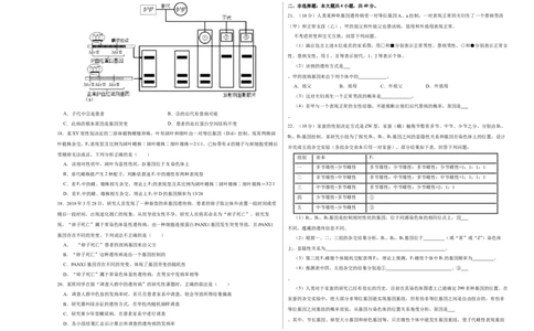 第六单元伴性遗传及其人类遗传病剖析（A卷新题基础练）-2023年高考生物一轮复习单元滚动双测卷（新高考专用）（考试版）_新高考复习资料_2023年新高考复习资料_一轮复习