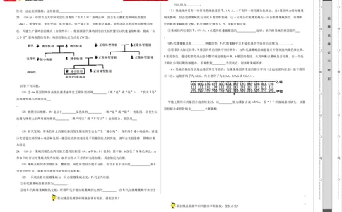 第六单元伴性遗传及其人类遗传病剖析（A卷新题基础练）-2023年高考生物一轮复习单元滚动双测卷（新高考专用）（考试版）_新高考复习资料_2023年新高考复习资料_一轮复习