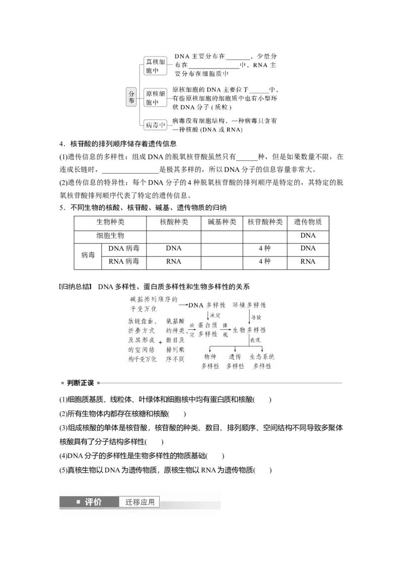 第一单元　第5课时　核酸是遗传信息的携带者_2025年新高考资料_一轮复习_2025大一轮复习讲义+课件（完结）_2025大一轮复习讲义生物学生用书Word版文档整书_2025大一轮复习讲义