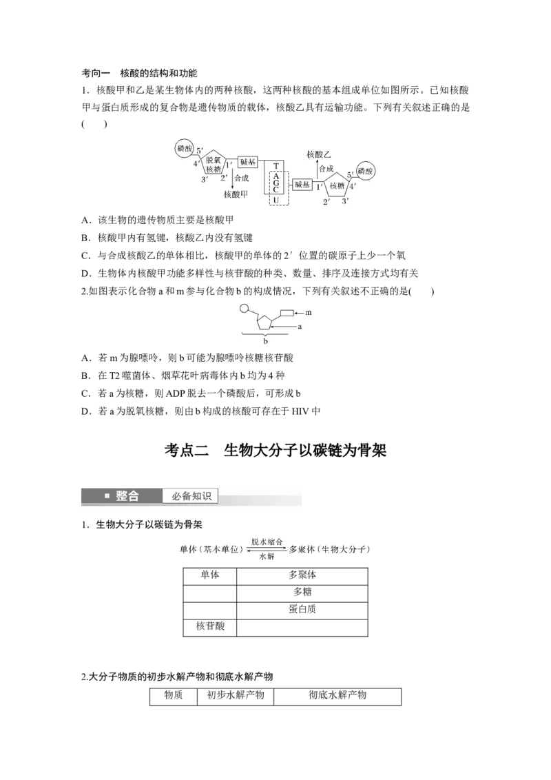 第一单元　第5课时　核酸是遗传信息的携带者_2025年新高考资料_一轮复习_2025大一轮复习讲义+课件（完结）_2025大一轮复习讲义生物学生用书Word版文档整书_2025大一轮复习讲义