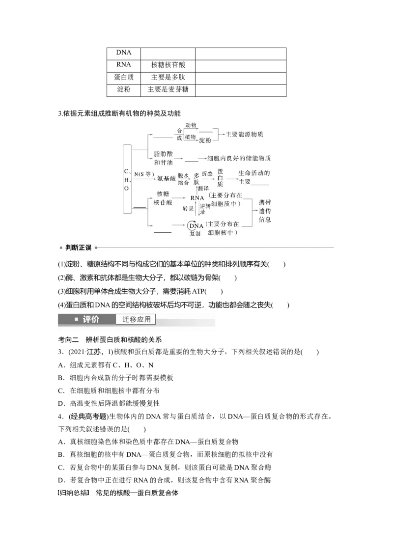 第一单元　第5课时　核酸是遗传信息的携带者_2025年新高考资料_一轮复习_2025大一轮复习讲义+课件（完结）_2025大一轮复习讲义生物学生用书Word版文档整书_2025大一轮复习讲义