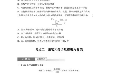 第一单元　第5课时　核酸是遗传信息的携带者_2025年新高考资料_一轮复习_2025大一轮复习讲义+课件（完结）_2025大一轮复习讲义生物学生用书Word版文档整书_2025大一轮复习讲义