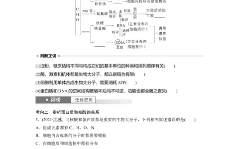 第一单元　第5课时　核酸是遗传信息的携带者_2025年新高考资料_一轮复习_2025大一轮复习讲义+课件（完结）_2025大一轮复习讲义生物学生用书Word版文档整书_2025大一轮复习讲义