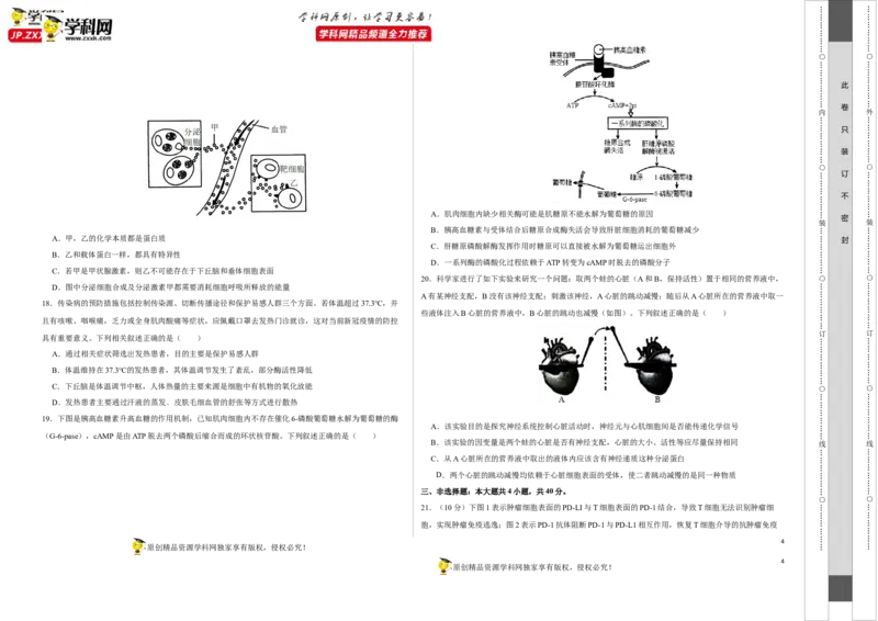 第八单元神经-激素-免疫调节网络构建（B卷能力提升练）-2023年高考生物一轮复习单元滚动双测卷（新高考专用）（考试版）_新高考复习资料_2023年新高考复习资料_一轮复习