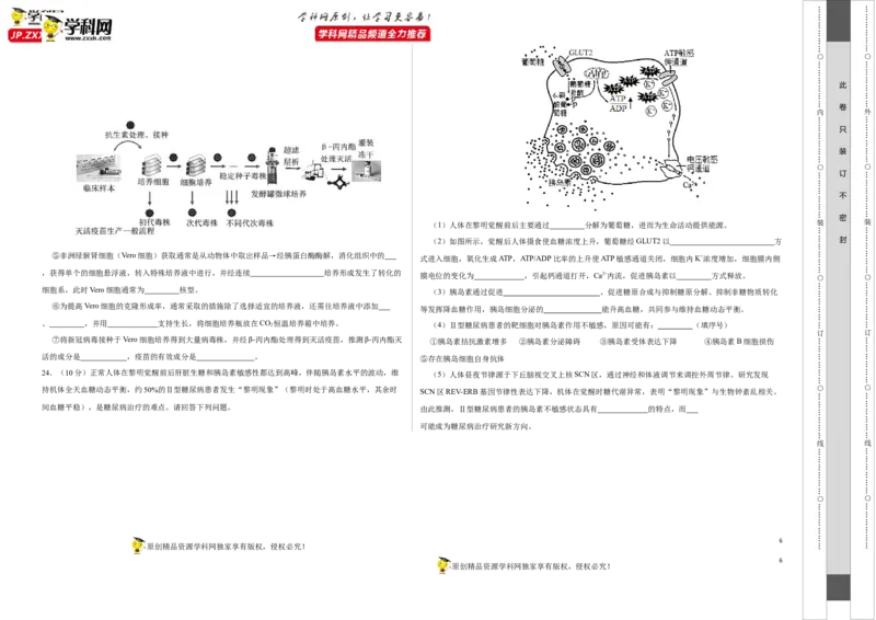 第八单元神经-激素-免疫调节网络构建（B卷能力提升练）-2023年高考生物一轮复习单元滚动双测卷（新高考专用）（考试版）_新高考复习资料_2023年新高考复习资料_一轮复习
