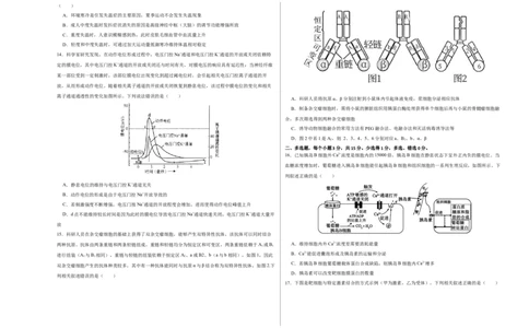 第八单元神经-激素-免疫调节网络构建（B卷能力提升练）-2023年高考生物一轮复习单元滚动双测卷（新高考专用）（考试版）_新高考复习资料_2023年新高考复习资料_一轮复习